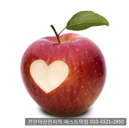  천안 아산 싱크대막힘 /  사과의 효능, 매일 먹으면 좋은 이유 10가지에 대하여 알아보아요~
