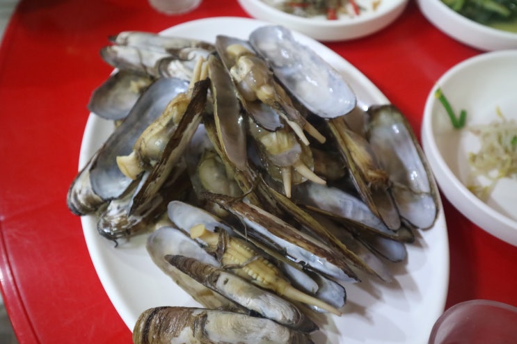  봉천동 맛집 :: 남도포장마차 (맛조개 데침)