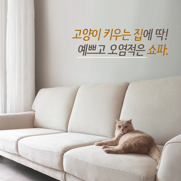  고양이 키우는 집에 추천하는 막스앤 쇼파 멤피스(스카모샤또) 오염없고 고급스러워요!