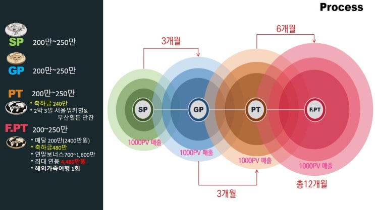 암웨이 에메랄드? 다이아몬드? 수익은 얼마..?