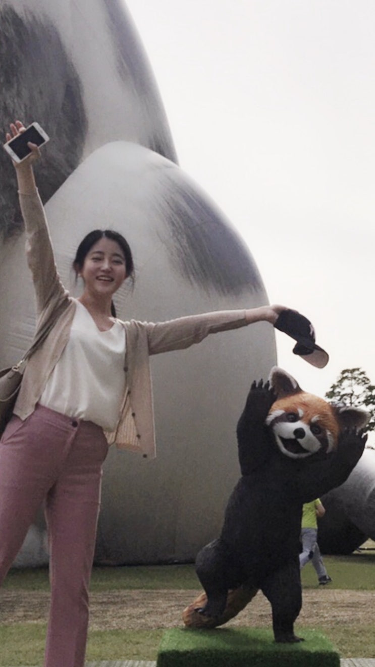  처음 롯데월드타워. 처음 분당. 처음 고양이 카페.
