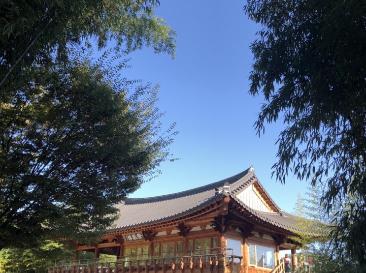  담양_2019.10 첫째