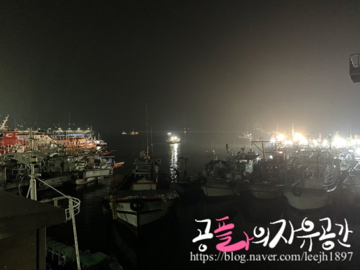  [국내여행] 서해바다 대천낚시 / 회사야유회 / 이것은 낚시동호회인가 / 대천 쭈꾸미낚시 / 오로라호