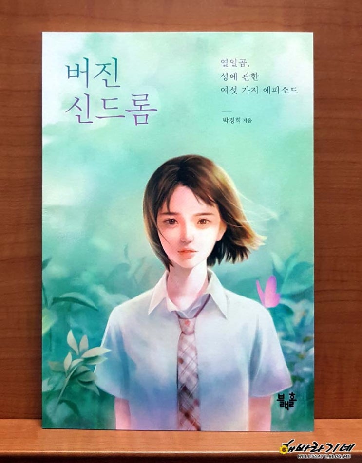  버진 신드롬