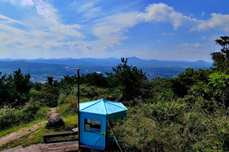 해국은 봉오리만,,,,,"지미봉 정상 가고오는길엔",^-^