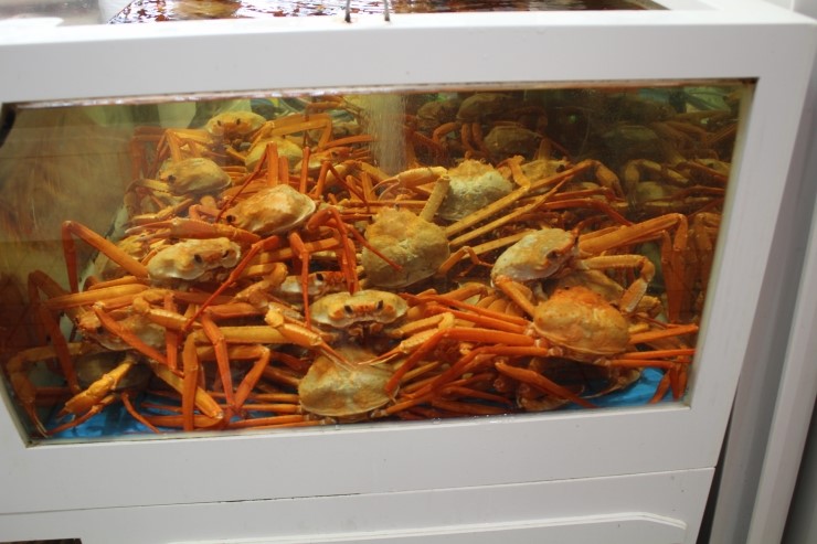  속초 중앙시장 맛집 먹거리 정말많아요