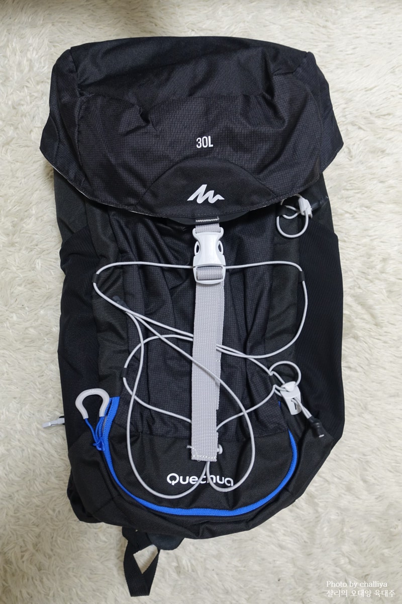 여행/등산 데카트론 퀘차 Quechua 배낭 내돈내산 : 네이버 블로그