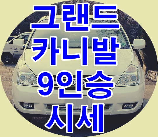  그랜드카니발 9인승 시세 정보 물어보셨던 용산중고차 회원님