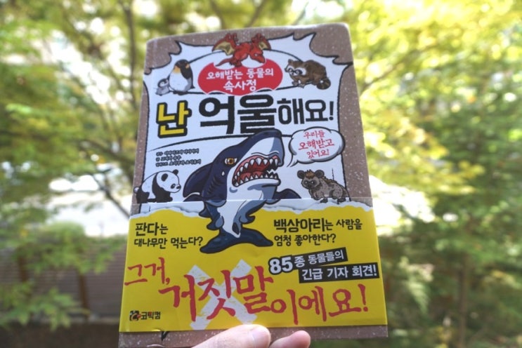  [도서] 난 억울해요 - 아이들과 재미있게 읽기 좋은 코믹컴 도서