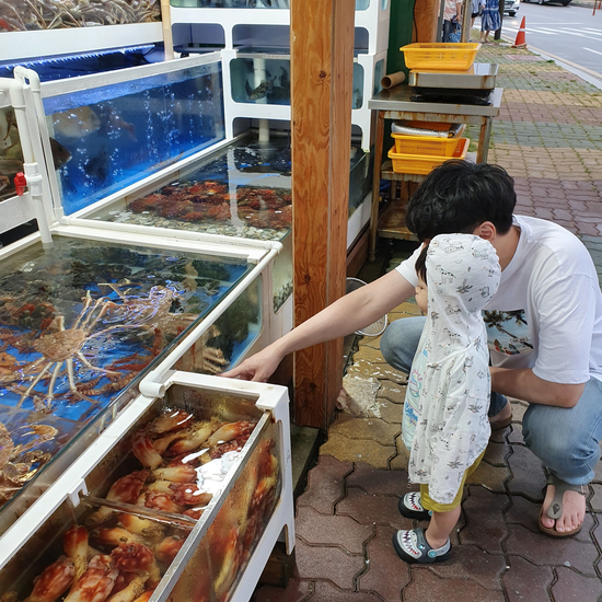  [속초여행] 속초 맛집 투어