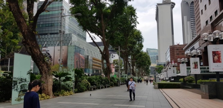 싱가포르 Clean, Green  and Beautiful 도시