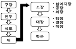 인체생리학 및 성인간호학 정리 : 네이버 블로그
