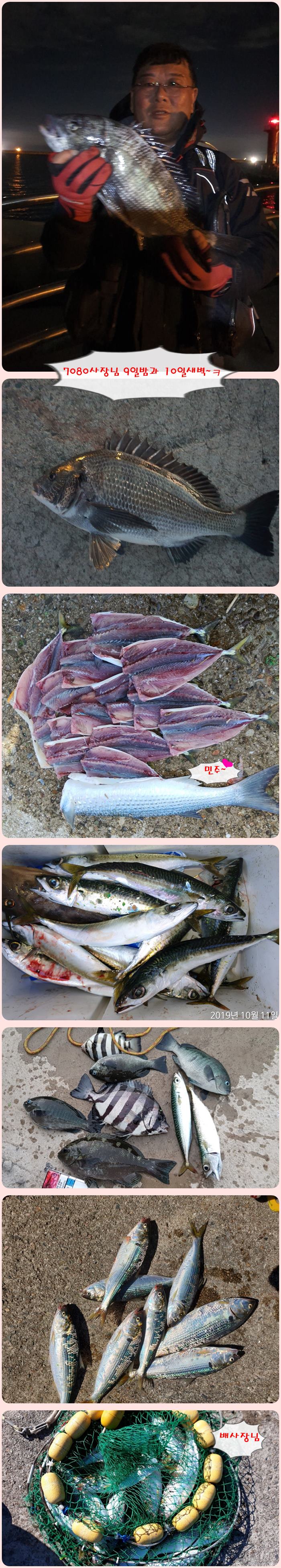 포항 영일 신항만
