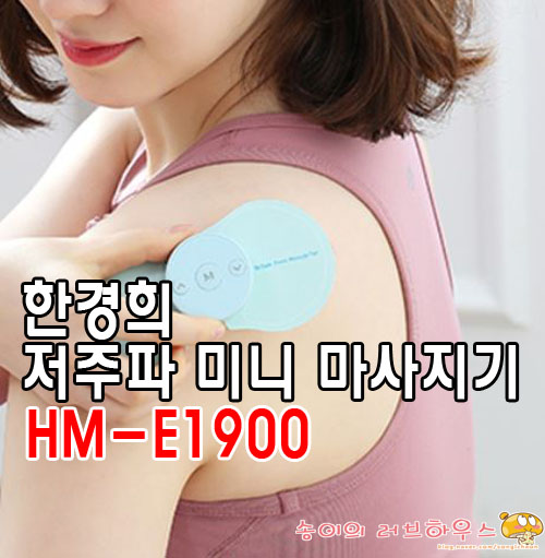  한경희 저주파 미니마사지기 HM-E1900 구매후기