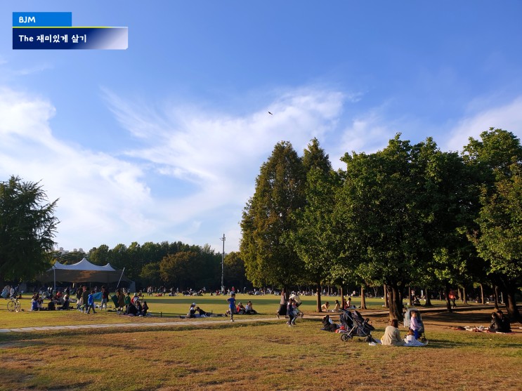 서울숲 피크닉 - 가을 소풍 장소로 좋은 공원
