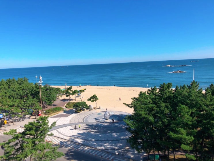  강릉여행 : 폴앤매리수제버거/강문해변/강문해변카페/보사노바/얼라이브홈/도그라운드