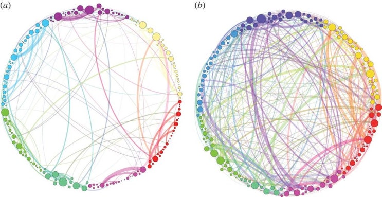  [집단치료놀이에서의사회적인뇌발달:Society Brain development with Group play Theraphy]사회성,집단치료놀이,우뇌중요성,사회적인뇌,아동심리
