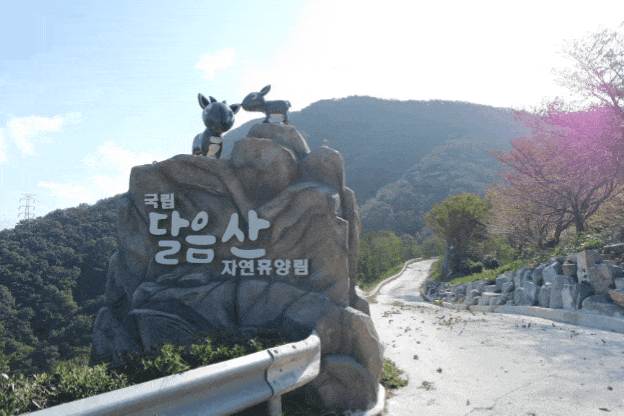  달음산 등산 ... 아들과 함께 시간 보내기