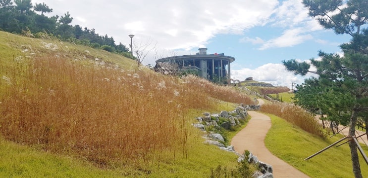  포항 아이와 가볼만한곳, 연오랑세오녀 테마공원