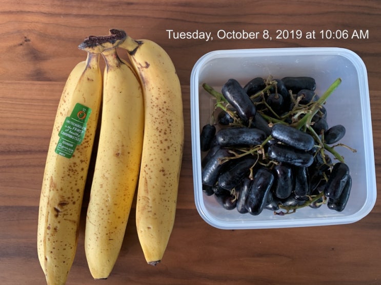  자연식물식 식단과 운동 10/8-10/10 화-목