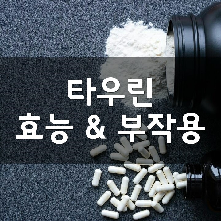  타우린 (Taurine) 효능, 부작용, 권장량, 제품 순위