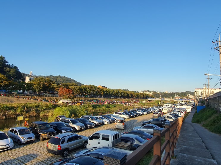 전주 남부시장에는 새벽에 여는 장이 따로 있다, 도깨비 시장