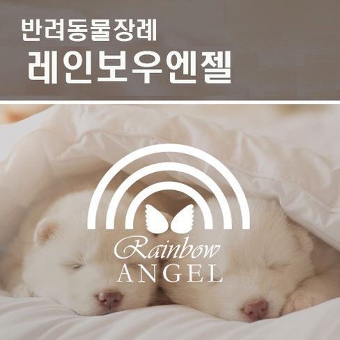  반려견장례식장의 올바른 선택방법은?