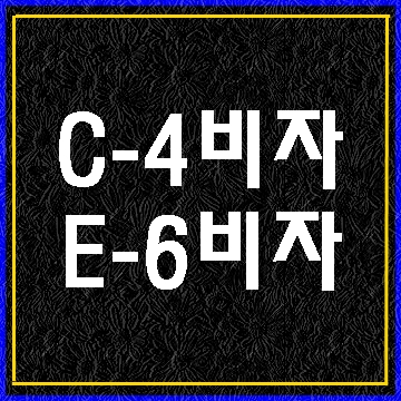  C4 E6 단기취업 예술흥행 비자