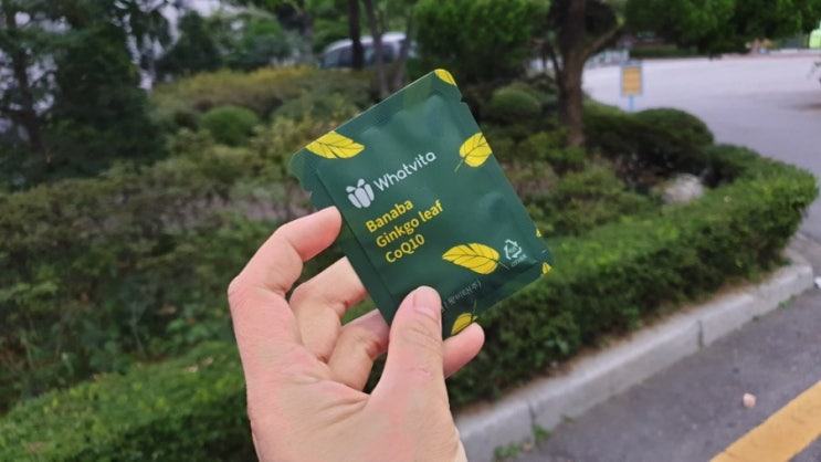  다리 혈액 순환 안될때 왓비타 바나바 은행잎 코큐텐