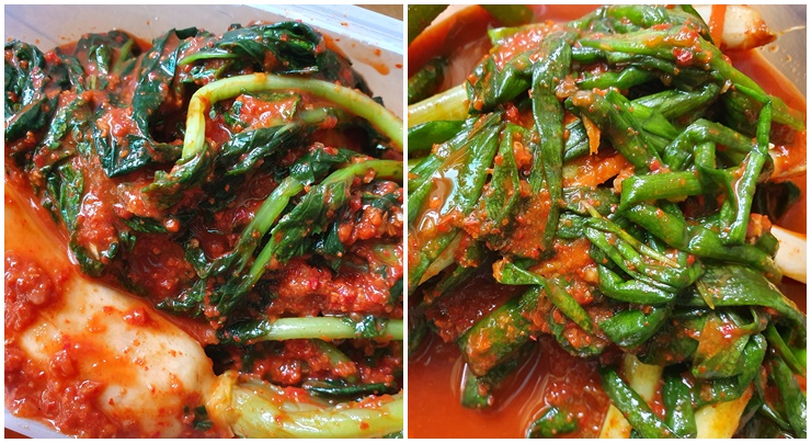  파김치 총각김치 반찬 걱정뚝~ 인생김치