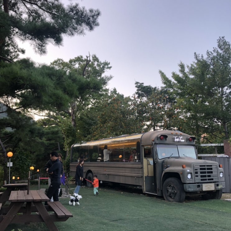  대구 팔공산 Treefarm 애견동반 가능 한 트리팜 카페