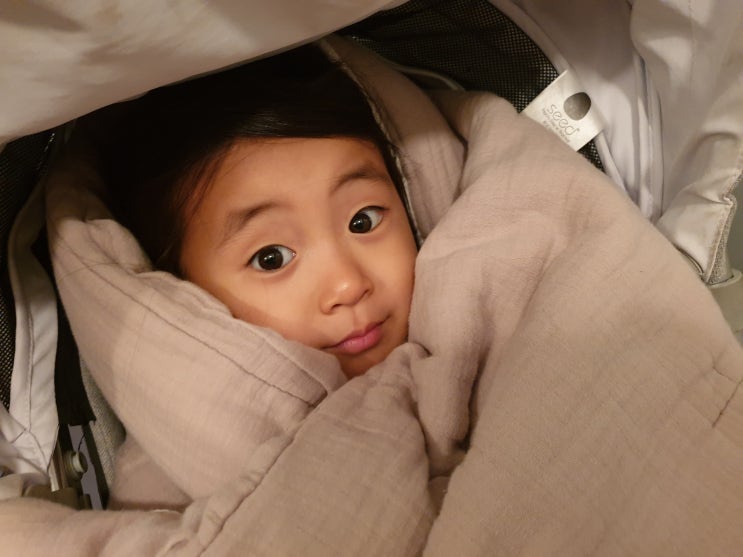 영어NIR스터디 10주차끝) 45개월 다시 시작하는 용기가 다른결과를 가져온다.