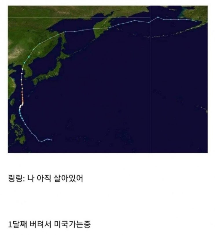  태풍 13호 링링 근황 ㅋㅋㅋ