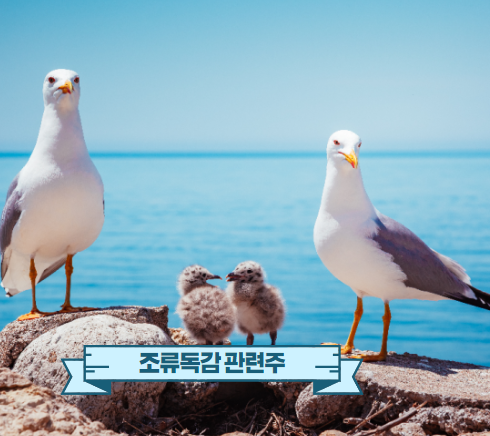  조류독감 관련주 ai 겨울주 대응합시다