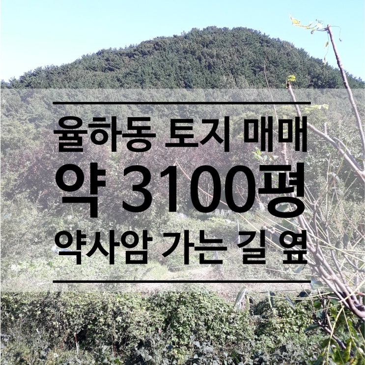  [율하 토지]김해 장유/율하 김해외고 근처 토지 3,100평 매매(전원주택지/종교용지 추천)상세 정보