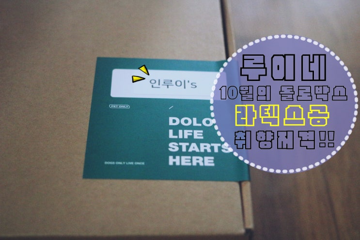  루이네 10월의 '돌로박스' 라텍스공 취향저격!