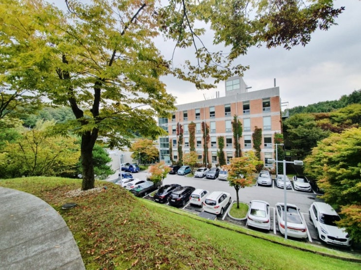  아산:) 도고 교원연수원 플랜테리어의 분위기 좋은 연수원