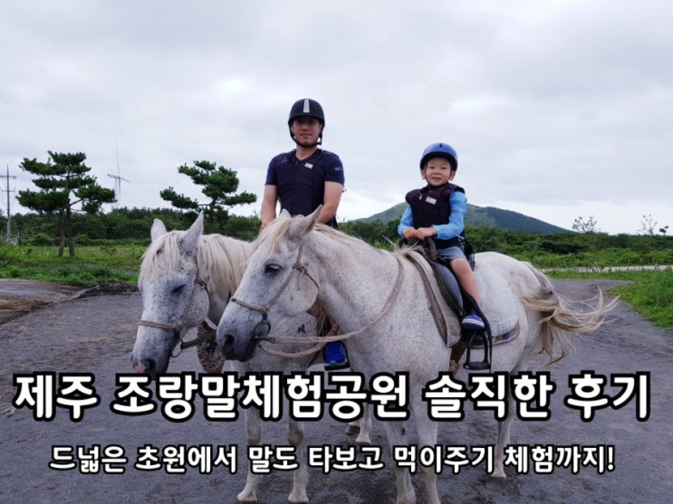 제주 조랑말체험공원 동부권 관광지 솔직한 후기.