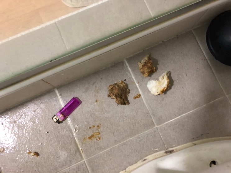  부산 모라동 변기막힘 신속하게 해결하기