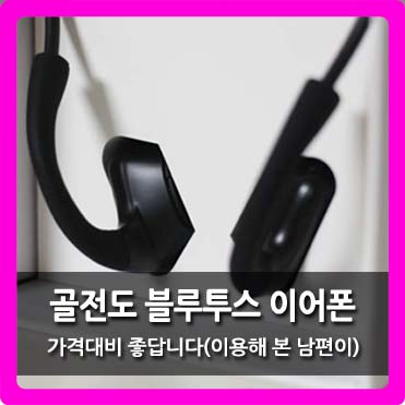  [골전도 블루투스 이어폰] 엠지텍 제품 괜찮네요(내가 산 리뷰)