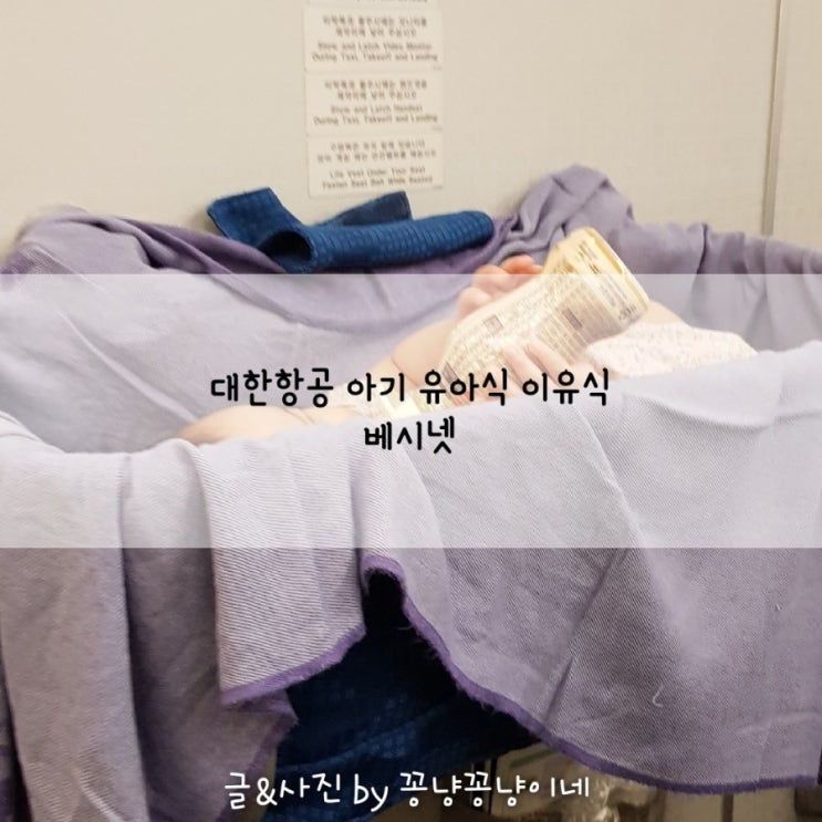  대한항공 아기 이유식 유아식 베시넷