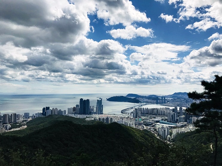  해운대 장산 으로 등산 다녀왔습니다.