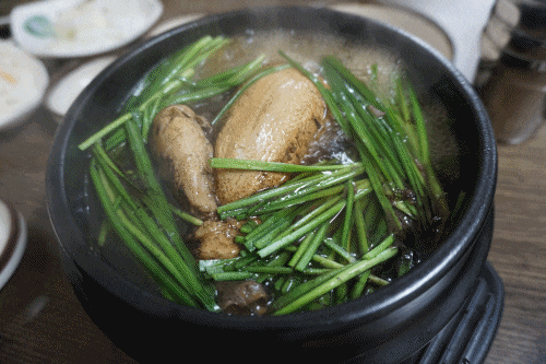  종로 삼계탕 유성식당 참옻계탕 시원하고 맑은 국물