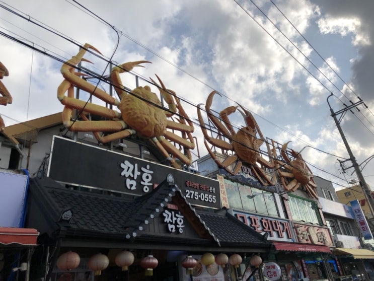  포항 맛집 미우새 이상민 홍게짬뽕집 구룡포 홍게짬뽕 짬홍