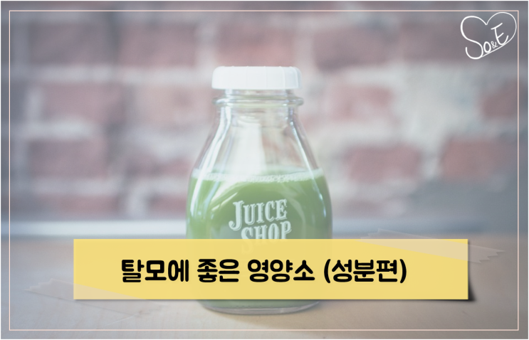  탈모에 좋은 영양소 (성분편)