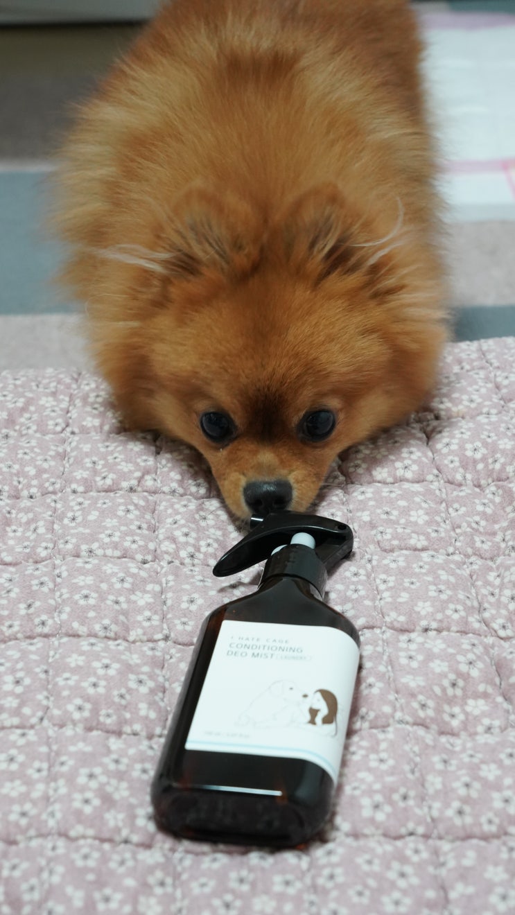  강아지냄새제거 천연미스트 부들부들 포근해~