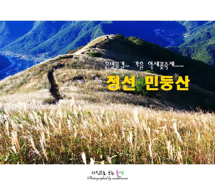  <100대 명산> 정선 민둥산(일출) 등산코스, 은빛물결 억새꽃축제는 11월초순까지....(증산초교-완경사-정상(1.119m억새밭)-급경사-증산초교 원점회귀)