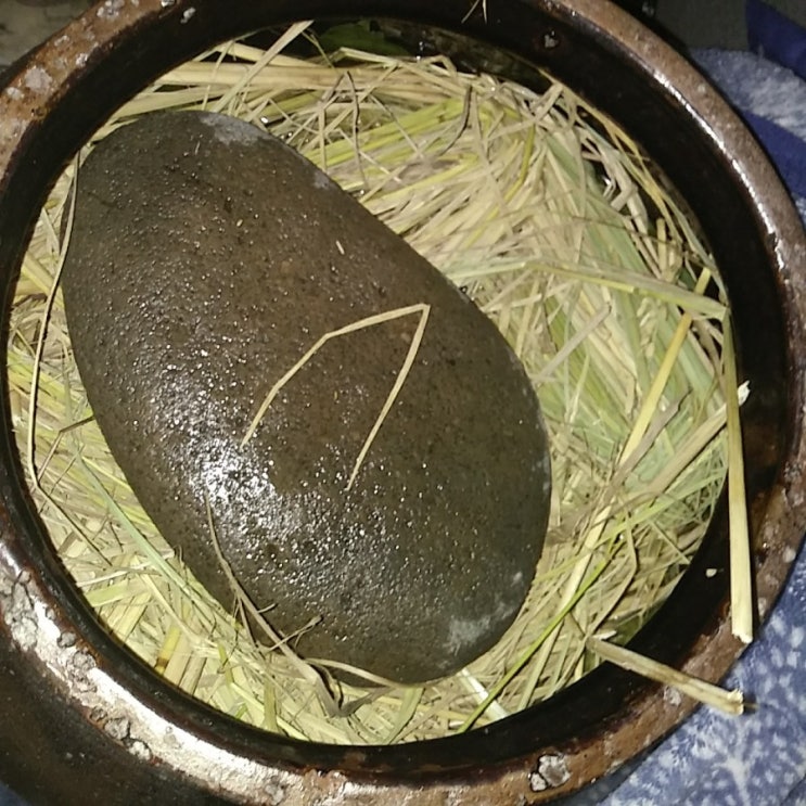  감, 침시 담그기, 연시는 까치밥
