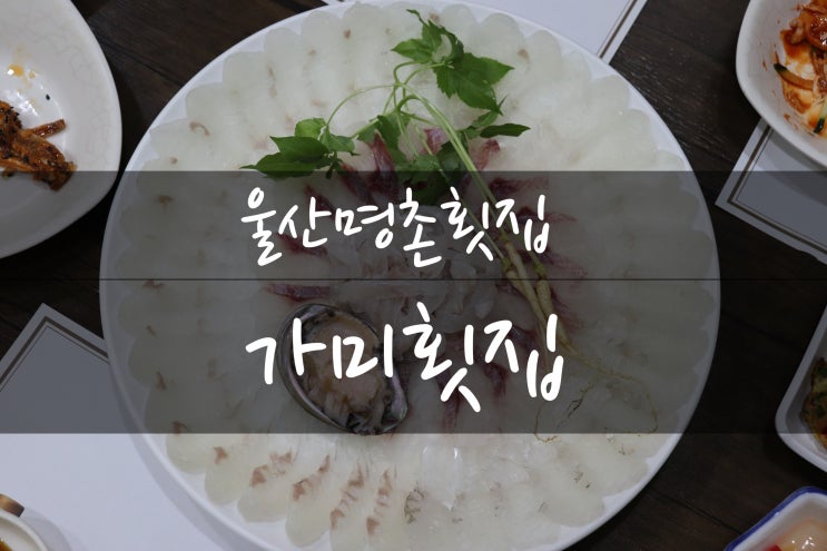  울산명촌횟집 가미횟집 자연산전문점답게 신선하고 회가 쫀뜩하니 맛있잖아