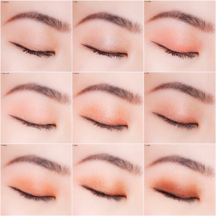  코랄 섀도우 팔레트 아페리레 어보브아이즈 인 블룸 무드있는 웜톤팔레트